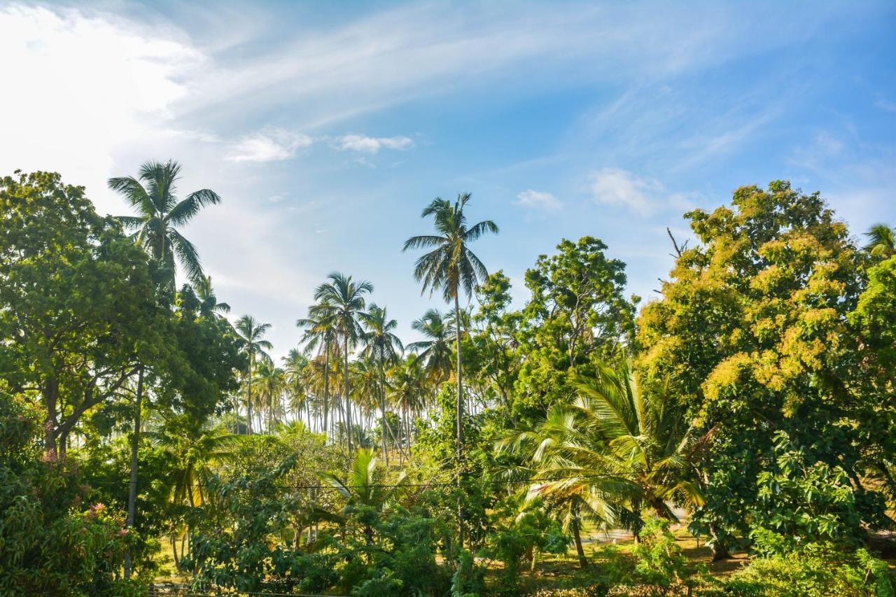 Janu Homestay Tangalle Buitenkant foto